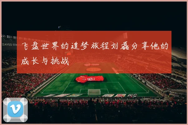 飞盘世界的追梦旅程刘磊分享他的成长与挑战