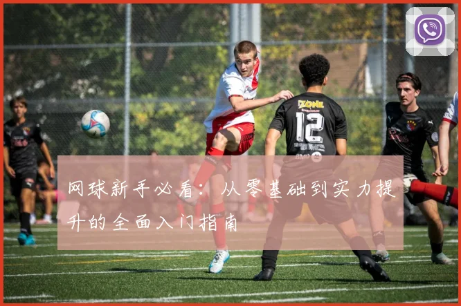 网球新手必看：从零基础到实力提升的全面入门指南