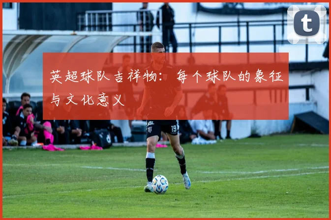 英超球队吉祥物：每个球队的象征与文化意义