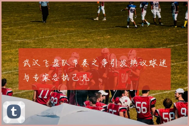 武汉飞盘队节奏之争引发热议球迷与专家各执己见